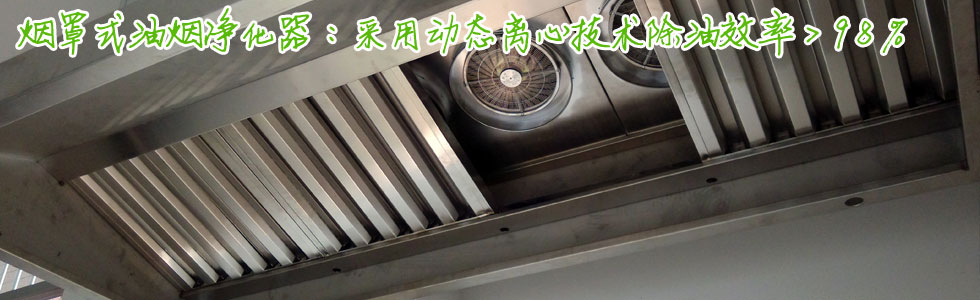 煙罩式油煙凈化器，除油效率>98%，川菜湘菜凈化首選！